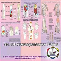 Les différentes chartes pour pratiquer le su jok