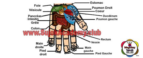 Magickey Teknik Ball Image 4