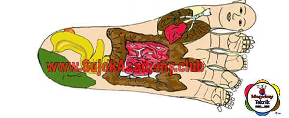 Magickey Massage Ball Image 5